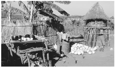 housinginzimbab.jpg
